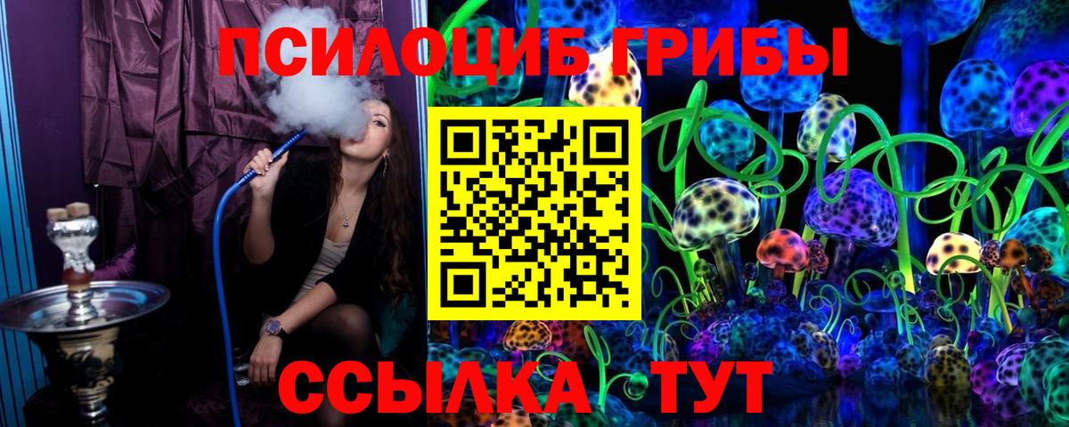 Ртищево  Галлюциногенные грибы прущие грибы  Вход с VPN 